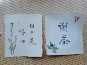 IMG20230324155519