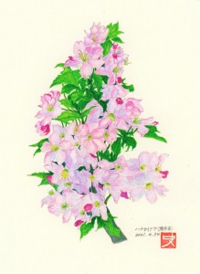 img059 (2)